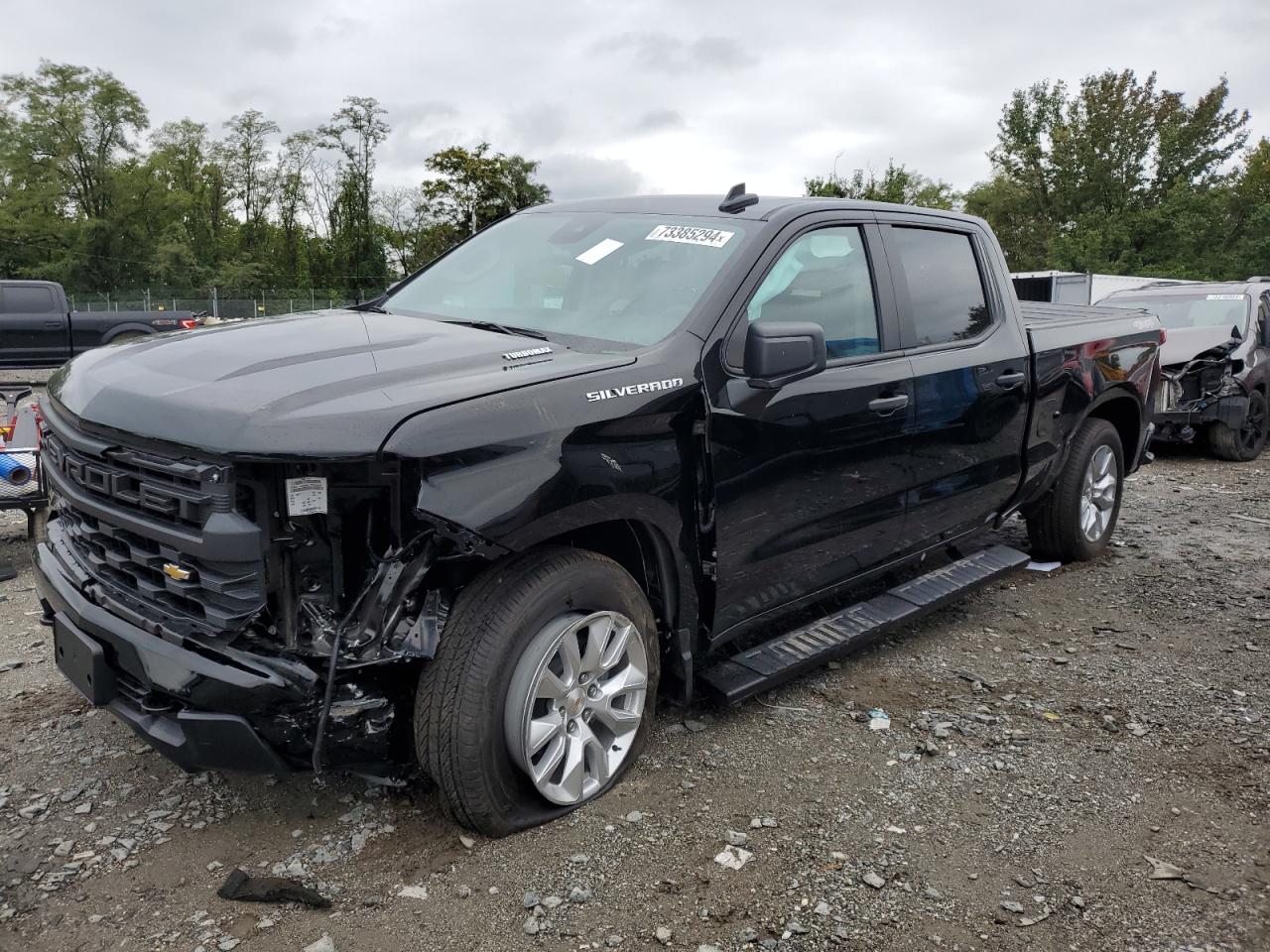 2024 CHEVROLET SILVERADO K1500 CUSTOM VIN:3GCPDBEK4RG423102