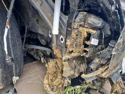 2023 Hyundai Tucson VIN: