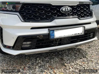 2021 Kia Sorento KNARM81FGMA112905 VIN:KNARM81FGMA112905