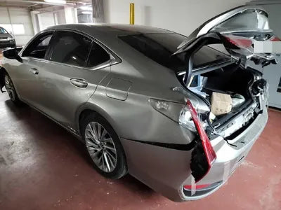 2019 Lexus ES 300 JTHB21B12K2046112 VIN:JTHB21B12K2046112