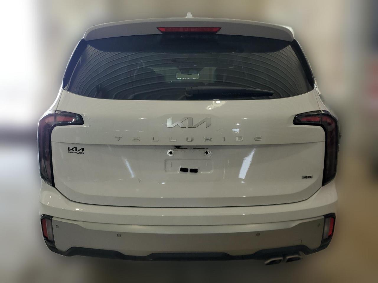 2024 KIA TELLURIDE EX VIN:5XYP3DGC8RG484830
