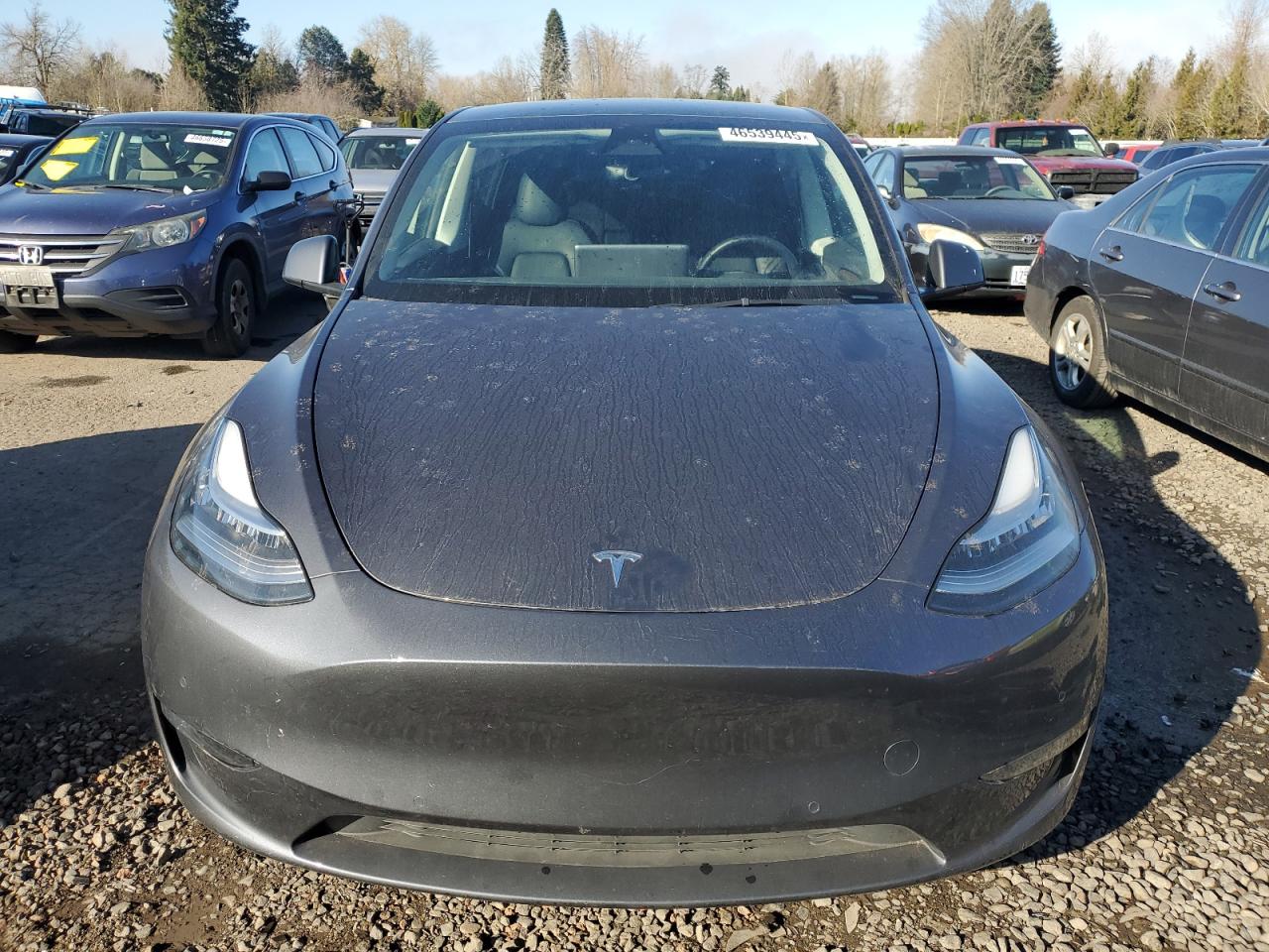 2022 TESLA MODEL Y  VIN:7SAYGDEE1NF575438