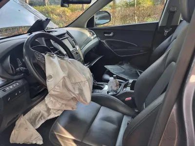 2016 Hyundai Santa FE KMHSW81UBGU619811 VIN:KMHSW81UBGU619811