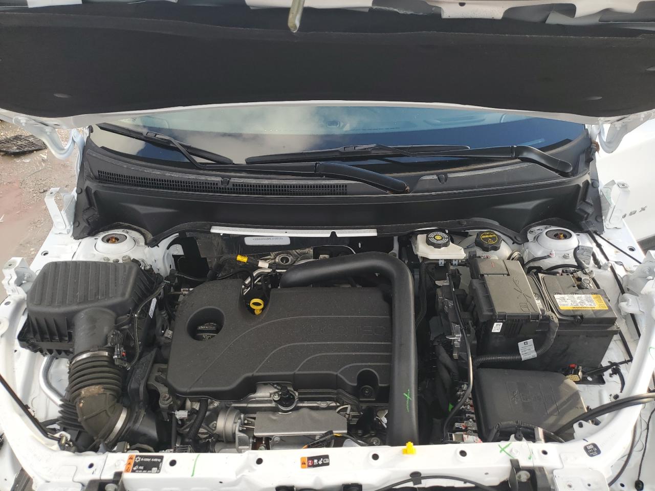 2024 CHEVROLET EQUINOX LS VIN:3GNAXHEG8RL313017