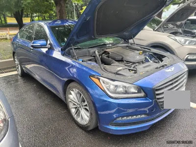 2015 acupuncture nessis 3.3 VIN: