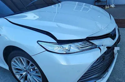 2019 Toyota Camry JTNB21HK9K3047880 VIN:JTNB21HK9K3047880