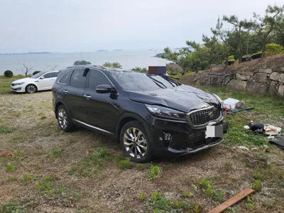 2018 Kia Sorento KNAPH81ABKA512384 VIN:KNAPH81ABKA512384