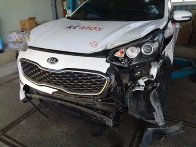 2019 Kia Sportage KNAPM813DKK704377 VIN:KNAPM813DKK704377