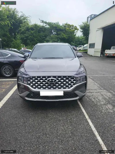 2020 Hyundai Santa FE KMHS281HGMU334862 VIN:KMHS281HGMU334862