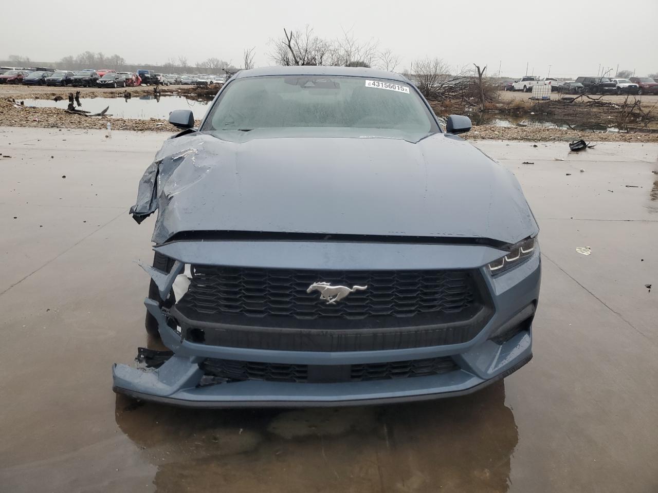 2024 FORD MUSTANG  VIN:1FA6P8TH8R5146805
