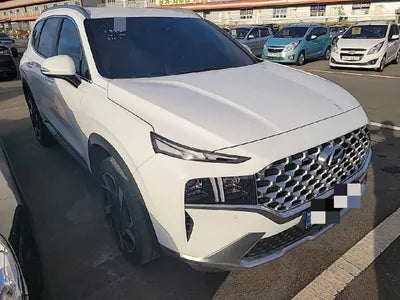 2020 Hyundai Santa FE 949KMKMHS381BBLU2 VIN:949KMKMHS381BBLU2
