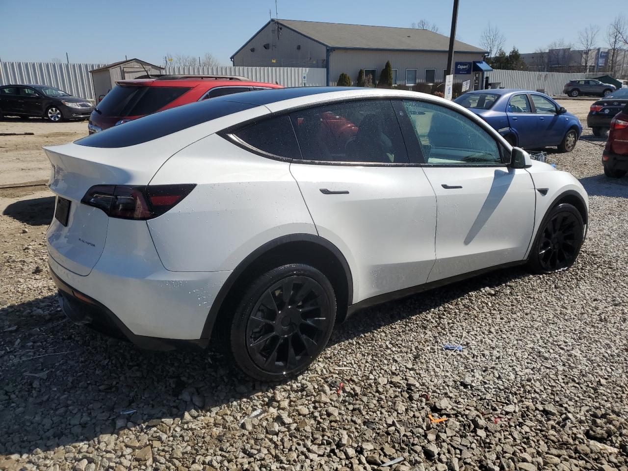 2023 TESLA MODEL Y  VIN:7SAYGDEE5PF691745