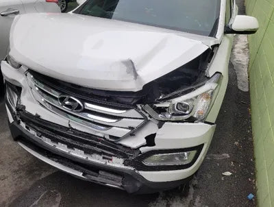 2015 Hyundai Santa FE KMHSW81UBFU480880 VIN:KMHSW81UBFU480880