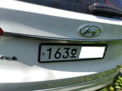 2019 Hyundai Santa FE KMHS581ABLU226176 VIN:KMHS581ABLU226176