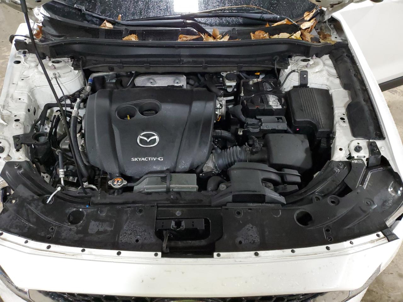 2022 MAZDA CX-5 SELECT VIN:JM3KFBBM6N0555374