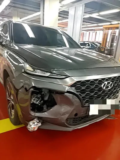 2019 Hyundai Santa FE KMHS281CBKU107302 VIN:KMHS281CBKU107302