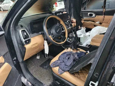 2021 Kia Sorento KNARK81BHNA116251 VIN:KNARK81BHNA116251