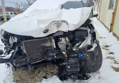 2021 Kia Carnival KNANE81BBMS017834 VIN:KNANE81BBMS017834