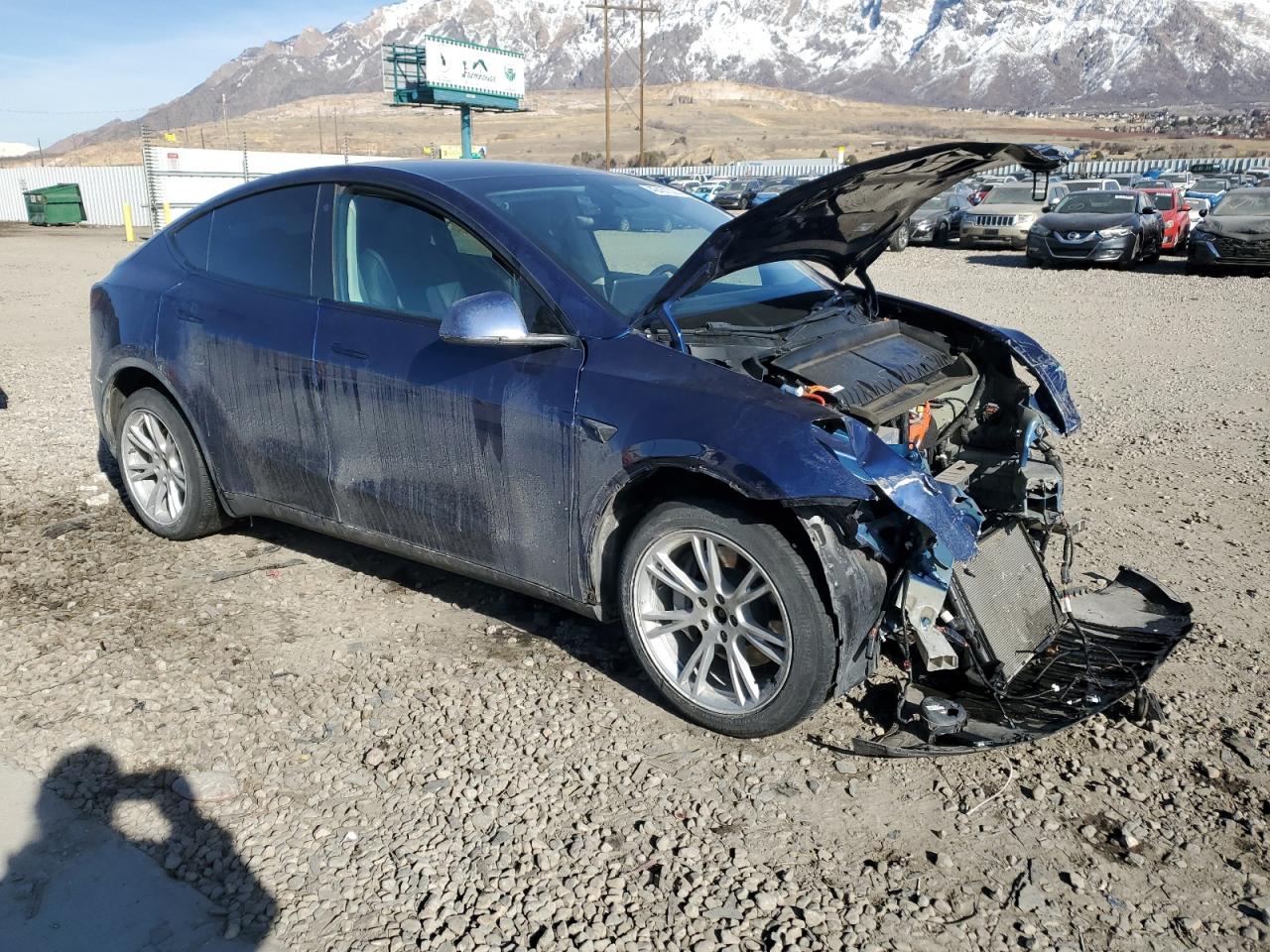 2022 TESLA MODEL Y  VIN:7SAYGDEE8NF439372