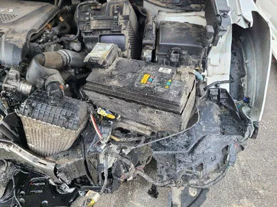 2017 Hyundai Santa FE KMHSW81UBJU839596 VIN:KMHSW81UBJU839596