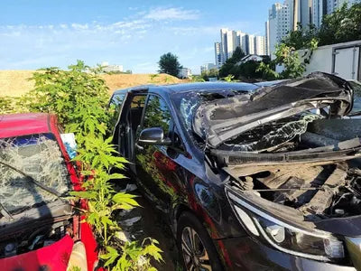 2020 Kia Carnival VIN: