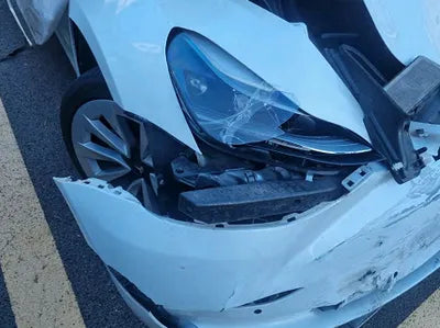 2021 Tesla Model 3 5YJ3E1EB1MF024992 VIN:5YJ3E1EB1MF024992