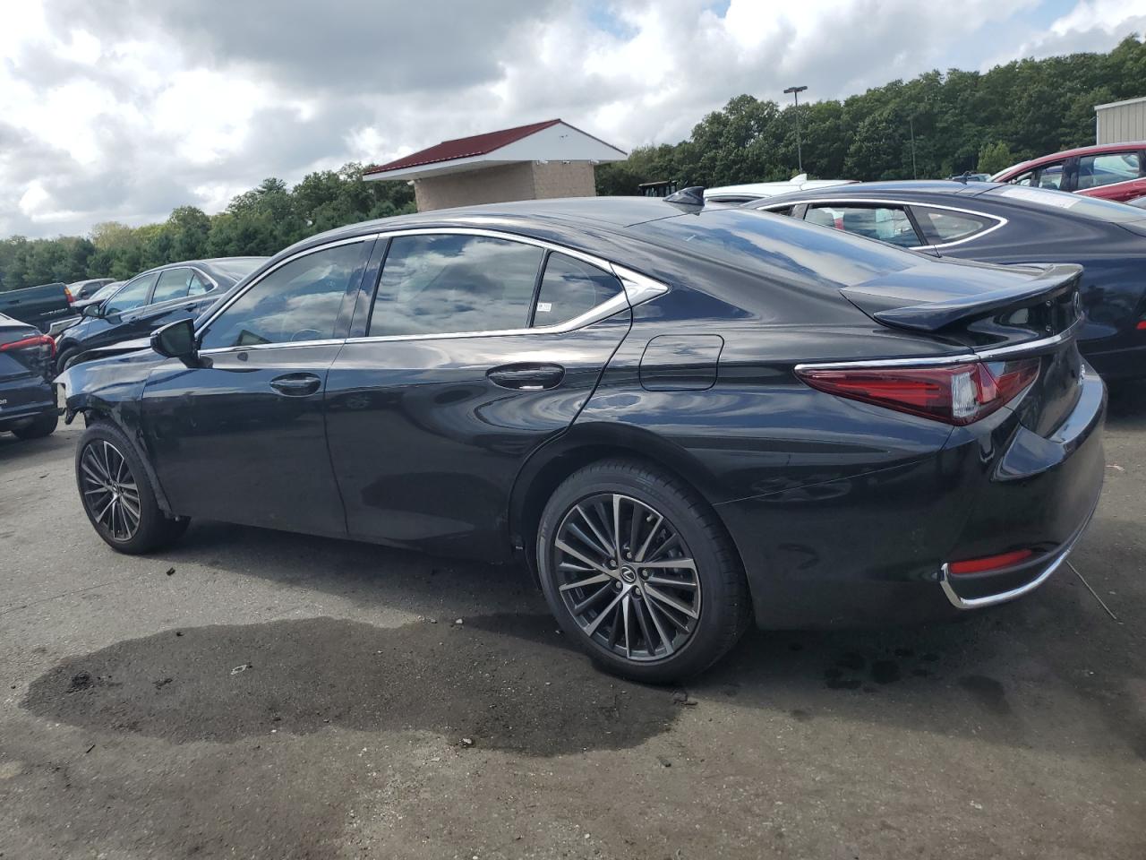 2024 LEXUS ES 250 BASE VIN:58AD11D10RU013476