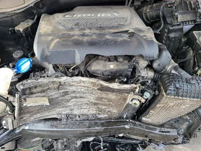 2017 Hyundai Santa FE KMHSW81UBJU839596 VIN:KMHSW81UBJU839596