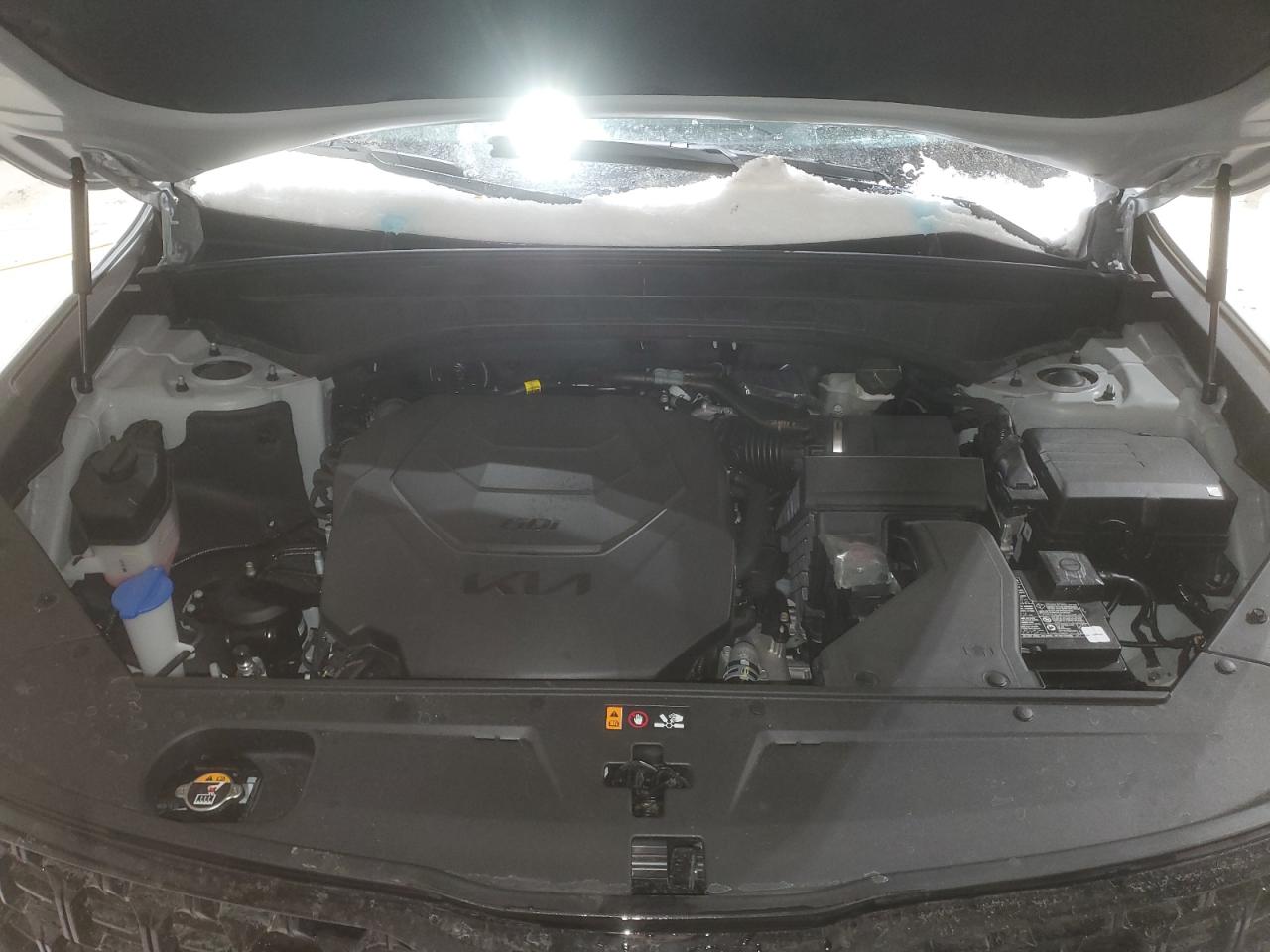 2024 KIA TELLURIDE SX VIN:5XYP5DGC5RG554858