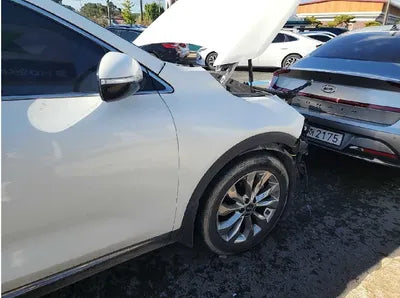 2019 Kia Sorento 130KMKNAPK81BBKA5 VIN:130KMKNAPK81BBKA5