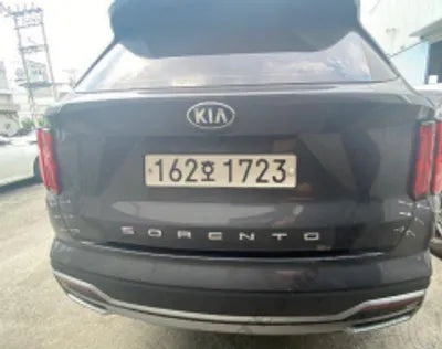 2021 Kia Sorento KNARL81BGMA078047 VIN:KNARL81BGMA078047