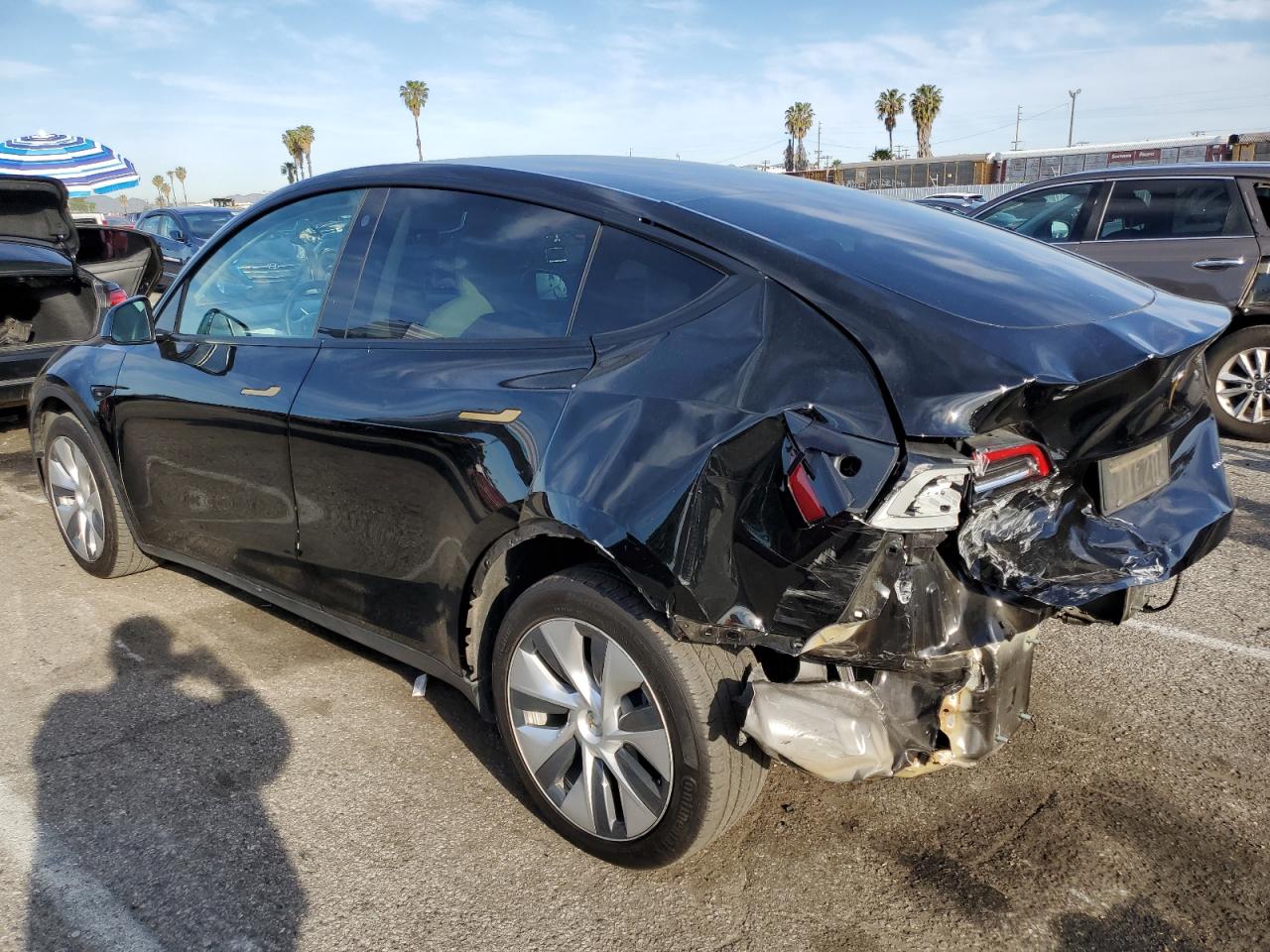 2022 TESLA MODEL Y  VIN:7SAYGDEE8NF329275