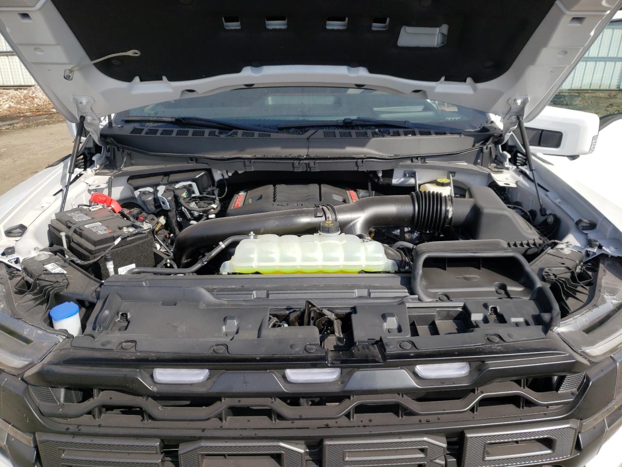 2024 FORD F150 RAPTOR VIN:1FTFW1RG5RFA24884