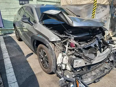 2020 Lexus UX 250 JTHP6JBH2L2067485 VIN:JTHP6JBH2L2067485