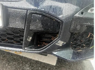 2021 BMW 530 WBAJU8101M9E86180 VIN:WBAJU8101M9E86180