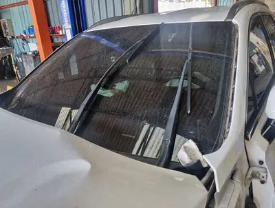 2019 Hyundai Santa FE KMHS381BBKU019825 VIN:KMHS381BBKU019825