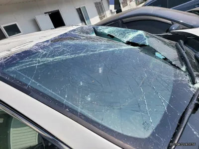 2019 Kia Sorento KNAPH81BBLA564657 VIN:KNAPH81BBLA564657