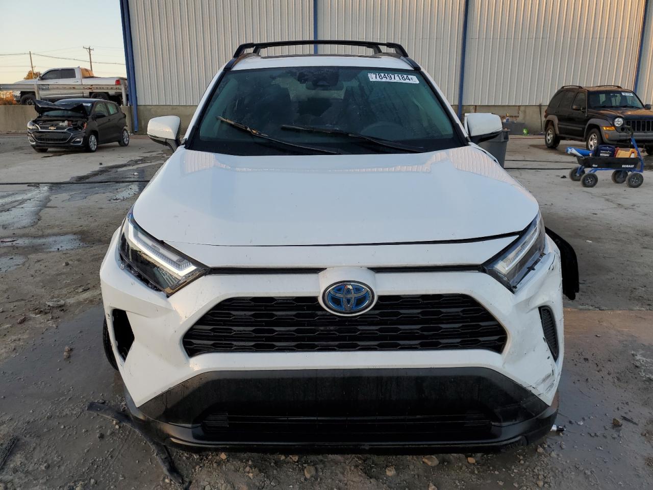 2024 TOYOTA RAV4 XLE VIN:4T3RWRFV3RU131302