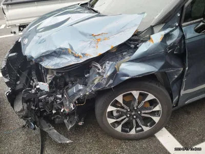 2021 Kia Carnival KNANE81BBMS085862 VIN:KNANE81BBMS085862