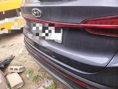 2020 Hyundai Santa FE KMHS281BBLU199802 VIN:KMHS281BBLU199802