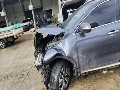 2017 Kia Sorento KNAPS81BDJA420525 VIN:KNAPS81BDJA420525