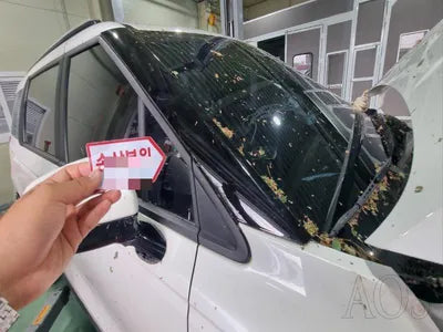 2021 Kia Carnival KNANB81BBMS053802 VIN:KNANB81BBMS053802