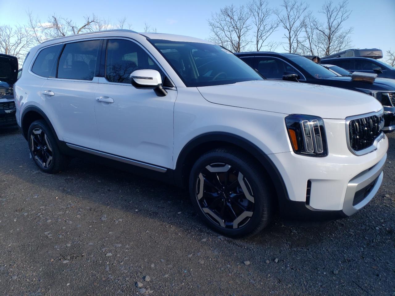 2024 KIA TELLURIDE EX VIN:5XYP3DGCXRG551136