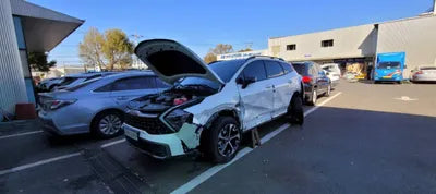 2022 Kia Sportage KNAPX81GBNK000971 VIN:KNAPX81GBNK000971