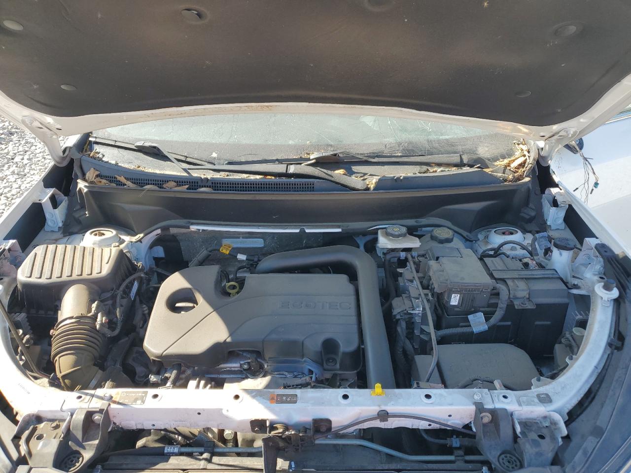 2023 CHEVROLET EQUINOX PREMIER VIN:3GNAXNEG2PL113374