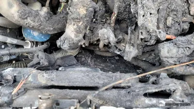 2015 Mercedes-Benz A 180 971KMWDDBF1CB2FJ3 VIN:971KMWDDBF1CB2FJ3