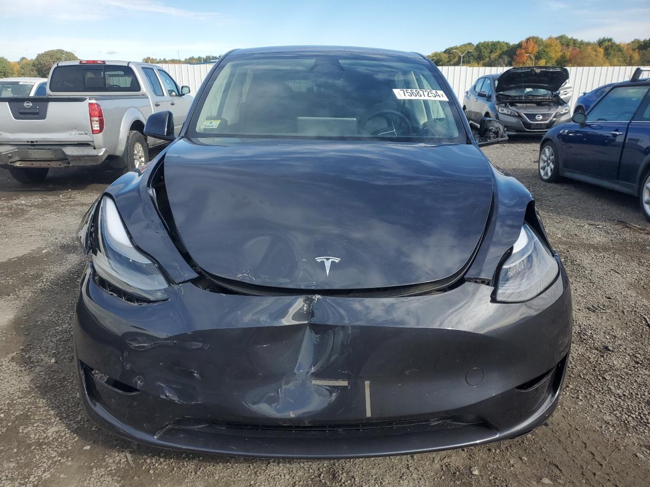 2024 TESLA MODEL Y  VIN:7SAYGDEEXRA283788