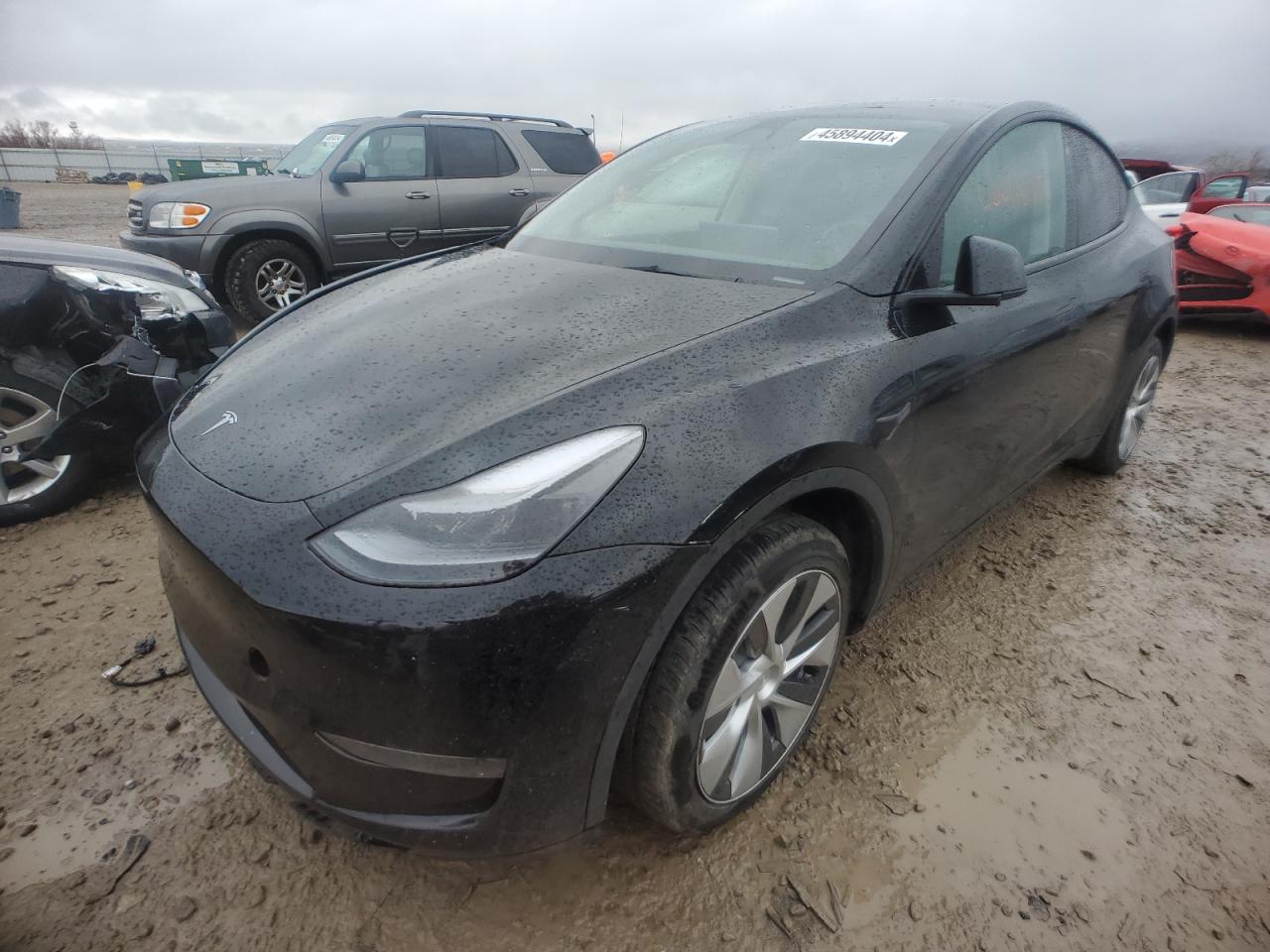 2023 TESLA MODEL Y  VIN:7SAYGDEE3PF746645