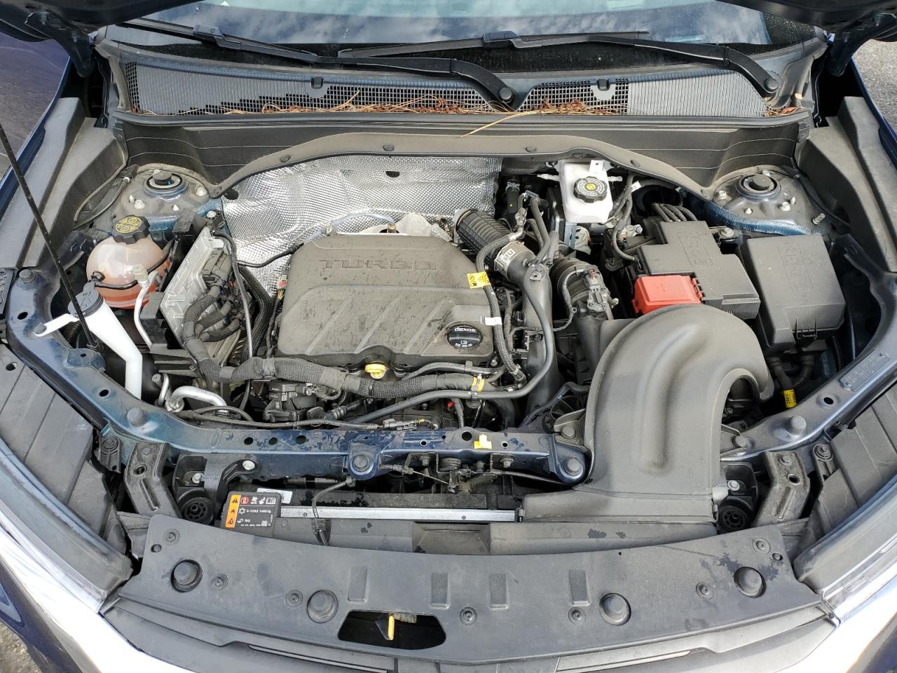 2023 CHEVROLET TRAILBLAZER LT VIN:KL79MPS24PB131785