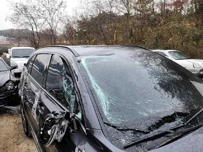 2022 Kia Sorento KNARH81GBNA101047 VIN:KNARH81GBNA101047